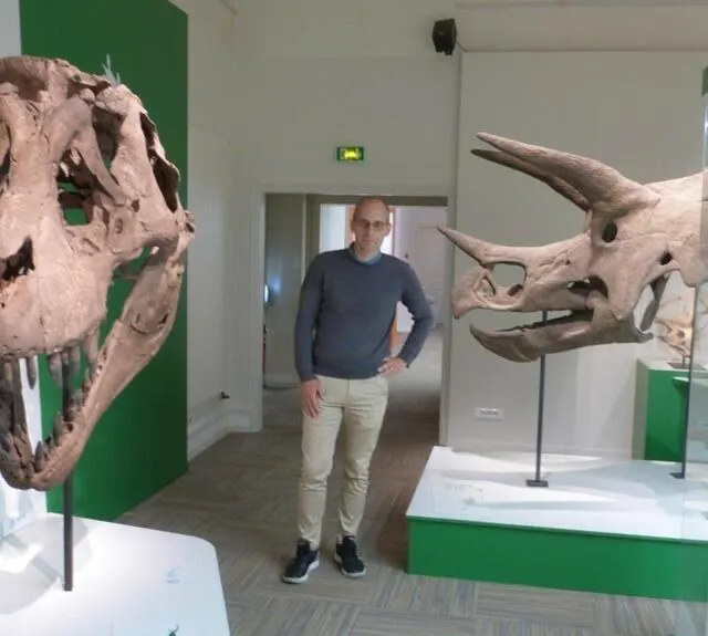 photo nicolas morel, commissaire de l’exposition géants, au temps des dinosaures et les crânes d’un t-rex et d’un tricératops  ©  archives ouest-france