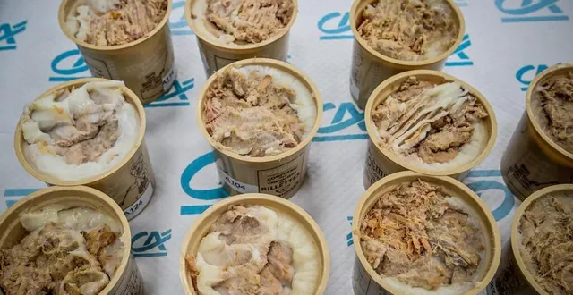 photo  la 56e édition du concours national des rillettes à mamers a rendu son verdict.  &copy;  le maine libre - yvon loue 