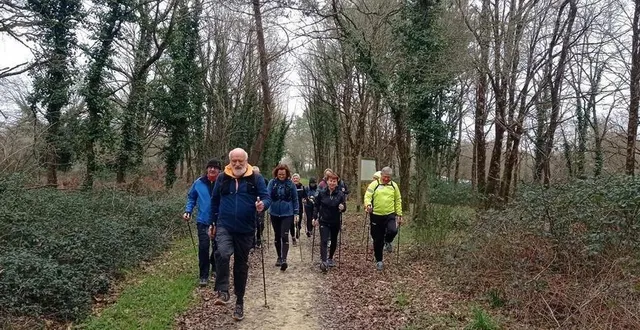 photo  parmi les disciplines proposées par beaufort randos 49, l’une des plus sportives est la marche nordique, qui sollicite tous les muscles du corps.  &copy;  document remis 