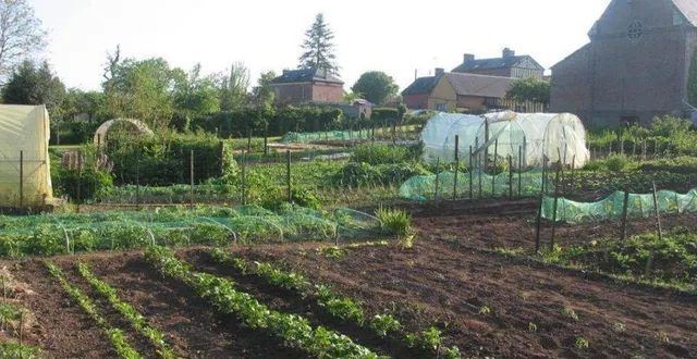 photo  des parcelles bien entretenues.  &copy;  archives ouest-france 