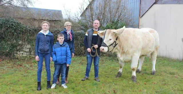 photo  tulipe la sarthoise ira au salon international de l’agriculture à paris.  &copy;  le maine libre 
