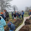 photo guy le jardinier a prodigué des conseils : point de sillon mais une légère couche de feuilles mortes riche en carbone et de fumier. une petite fille a déposé une pomme de terre de semence. il faudra la recouvrir et la protéger.