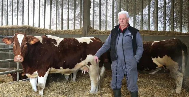photo  christian douet a qualifié deux vaches pour cette 61e édition du salon international de l’agriculture. l’éleveur de châtelais pourrait aussi y présenter un taureau, pour l’heure suppléant.  &copy;  ouest-france 