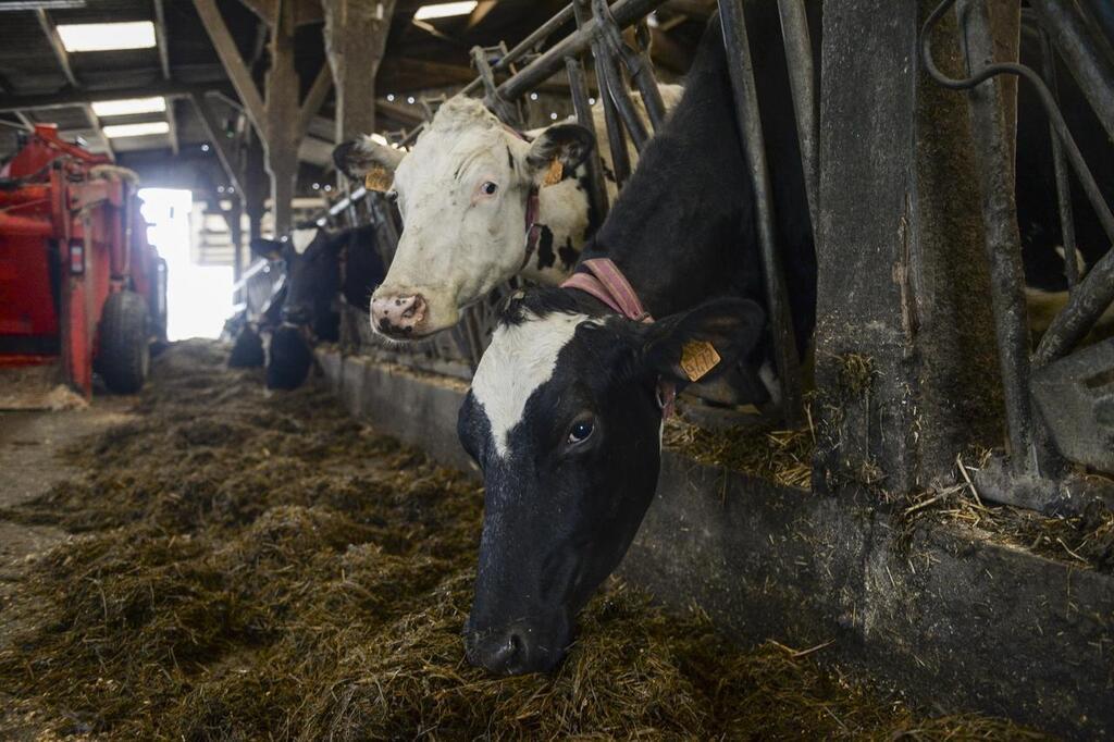 CARTES. Où l’agriculture émet-elle le plus de gaz à effet de serre en ...