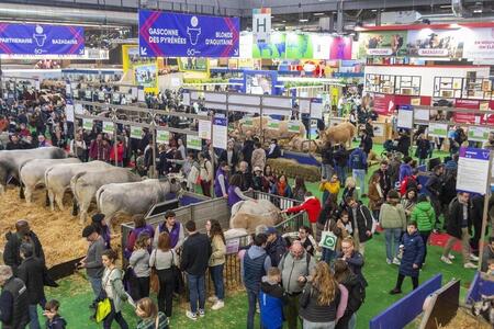photo La Manche est souvent dignement représentée au Salon de l’agriculture. Cette année, l’événement se tient toujours Porte de Versailles, à Paris, du samedi 22 février au dimanche 2 mars 2025. Mathieu Pattier / Ouest France 