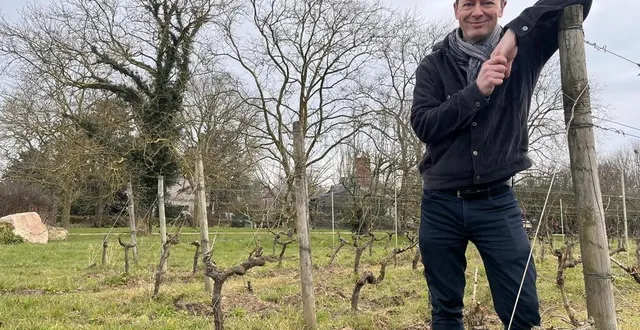 photo  pierre-antoine giovannonni est vigneron indépendant à bellevigne-en-layon (maine-et-loire).  &copy;  ouest-france 