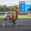 photo  la dernière course attelée de joumba de guez remontait au 23 novembre 2024 où elle s’était imposée dans le prix de chenonceaux sur l’hippodrome de paris vincennes. 