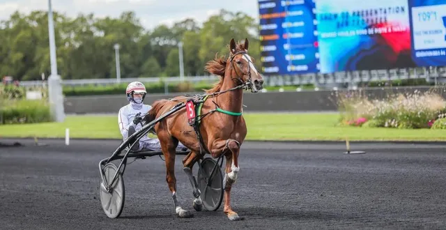 photo  la dernière course attelée de joumba de guez remontait au 23 novembre 2024 où elle s’était imposée dans le prix de chenonceaux sur l’hippodrome de paris vincennes.  &copy;  bruno vandevelde - le trot 