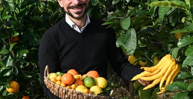 photo  christophe reineri, pépiniériste à tiercé-en-anjou.  &copy;  franck schmitt 