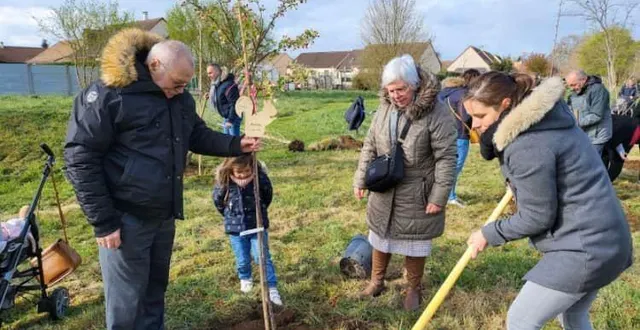 photo  parmi les ateliers figure l’entretien et le tuteurage des arbres de l’opération « un bébé, un arbre ».  &copy;  archives le maine libre 