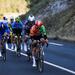 ENTRETIEN – Cyclisme. Yohann...
