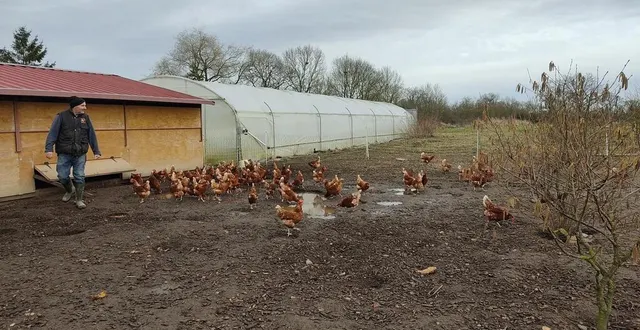 photo  emmanuel robert, cofondateur de bio à la source, a présenté son exploitation en bio à des gestionnaires de cantine du bocage et de l’aigle.  &copy;  la coop des territoires 