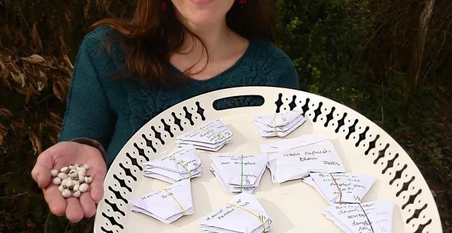 photo  viviane derouet présente ici des graines de haricots à écosser du saint sacrement et des paquets de graines à planter.  &copy;  viviane derouet 