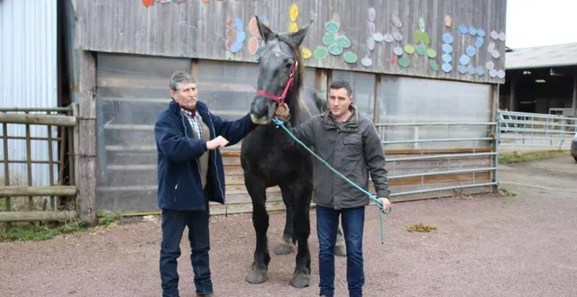 photo  bernard et guillaume teinturier, ont accompagné noisette pour sa montée dans le camion  &copy;  le maine libre 