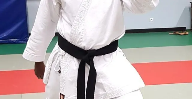 photo  objectif atteint ! timéo lebas, 16 ans, décroche sa ceinture noire de karaté.  &copy;  le maine libre 