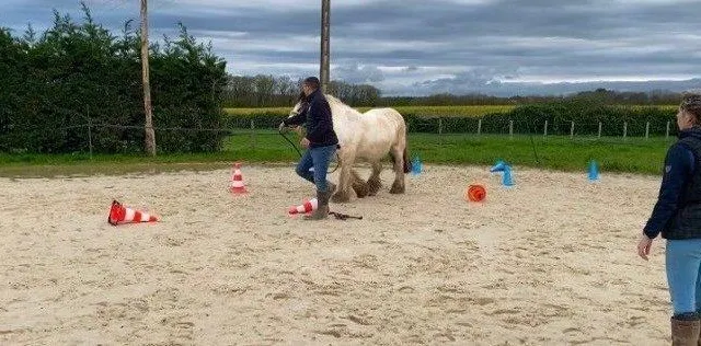 photo  lancement des cours d’équitation. manon haubert coache un de ses cavaliers.  &copy;  ouest-france 