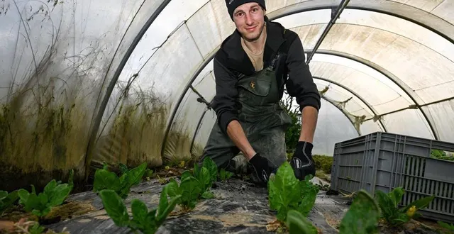 photo  saint-georges-sur-loire, le 27 février 2025. après des études de designer graphique et un passage par les beaux-arts, jacques bourget a préféré devenir maraîcher.  &copy;   co – josselin clair 