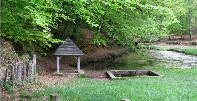 photo  la fontaine de la coudre, site emblématique de la forêt de bercé.  &copy;  le maine libre 