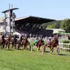 photo  l’hippodrome de sablé-sur-sarthe accueillera six réunions en 2025. 