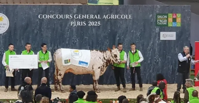 photo  les élèves de première bac pro agricole ont concouru au trophée international de l’enseignement agricole (tiea) au salon de l’agriculture qui se tenait à paris expo porte de versailles, ils ont décroché la 2e place de la section ii, vaches laitières.  &copy;  giel don bosco 