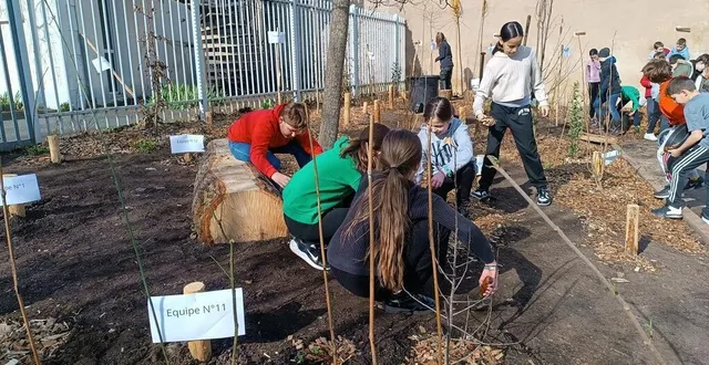photo  atelier plantation de la mini-forêt.  &copy;  co 