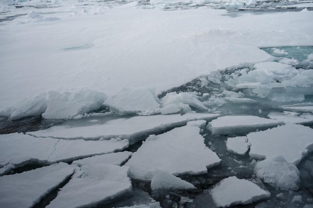 Climat : le niveau de la banquise a atteint un plus bas historique pour ...