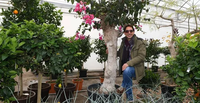 photo  tiercé, le 2 décembre 2021. christophe reineri a repris agrumes de méditerranée en 2017.  &copy;  archives co - josselin clair 