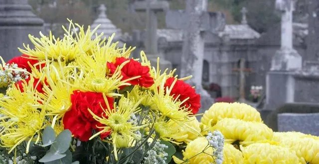 photo  peu avant la cérémonie funéraire dédiée à son époux, une septuagénaire est décédée sur le parking du cimetière de trangé, près du mans, vendredi 7 mars 2025.  &copy;  archives ouest-france 