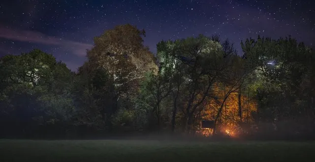 photo  alexis pichot a passé plusieurs semaines avec les écureuils, ces militants perchés dans les arbres contre l’autoroute a69.  &copy;  alexis pichot 