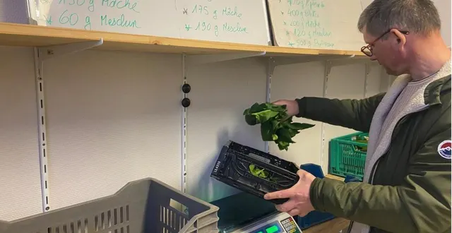 photo  les amapiens pèsent leur panier hebdomadaire. la collecte se fait le jeudi soir, entre 18 h et 20 h, au centre culturel.  &copy;  ouest-france 