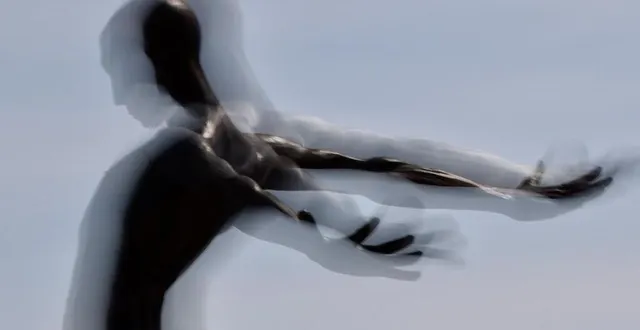 photo  une des photos de bernard reigner.  &copy;  bernard reigner 