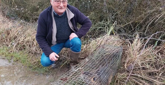 photo  depuis 2011, richard hée lutte contre la prolifération des ragondins et des rats musqués à val-au-perche.  &copy;  @val-au-perche 