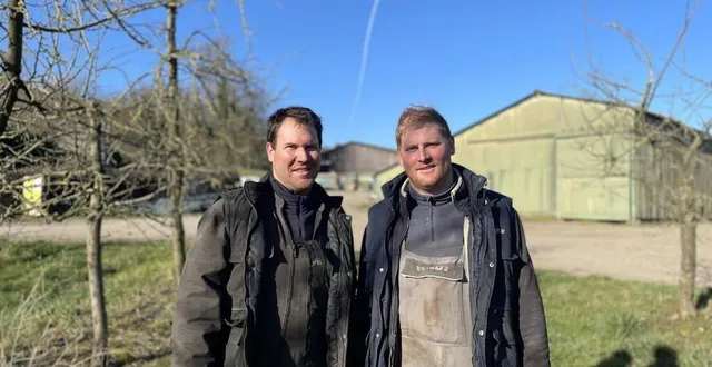 photo  charley legay (à droite) s’associe à son frère clément et à ses parents dans l’exploitation familiale des estives à cerisy-belle-étoile, dans l’orne.  &copy;  ouest-france 