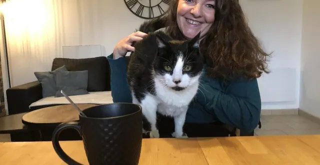 photo  olivia dreux veut ouvrir un bar à chats à alençon dans les prochains mois.  &copy;  ouest-france 