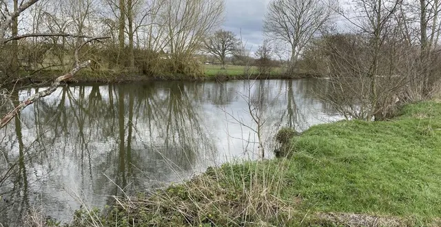 photo  c’est à cet endroit que le corps immergé dans la sarthe a été repêché, mardi 11 mars 2025, à héloup.  &copy;  ouest-france 