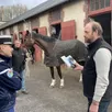 photo un partenariat a été officialisé entre l’institut français du cheval et de l’équitation (ifce) et la gendarmerie de l’orne.