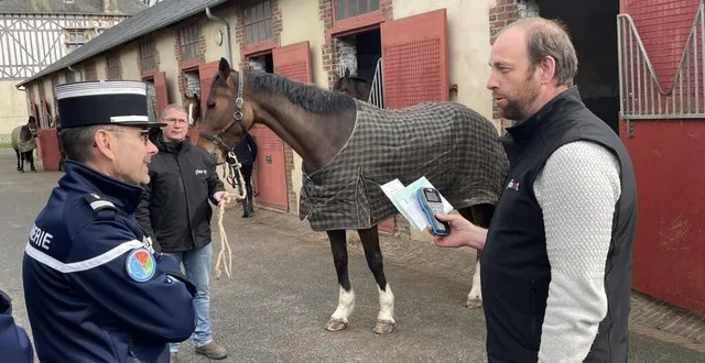 photo  un partenariat a été officialisé entre l’institut français du cheval et de l’équitation (ifce) et la gendarmerie de l’orne.  &copy;  ouest-france 