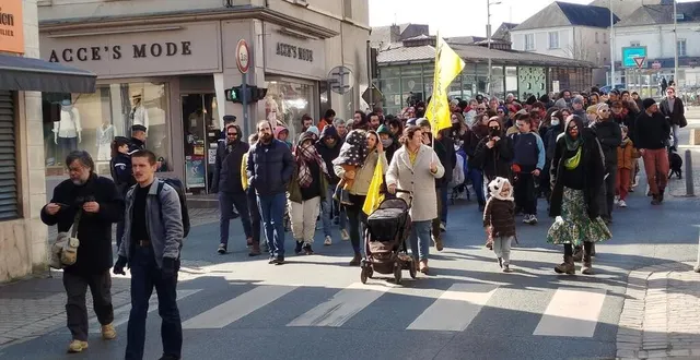 photo  les manifestants, ce samedi 15 mars, à chalonnes-sur-loire.  &copy;  ouest-france 
