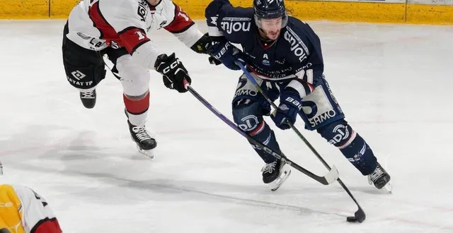 photo  philippe halley et ses partenaires ont réussi leur mission à domicile.  &copy;  françois maisonneuve 