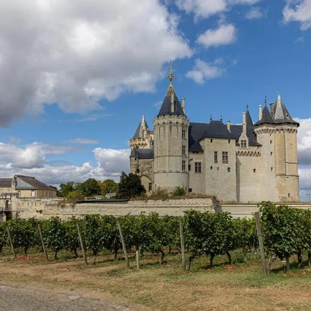 photo le château de saumur.  ©  chantal didier