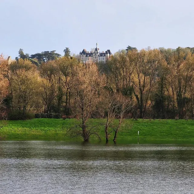 photo le château de champtoceaux.  ©  maxime girod