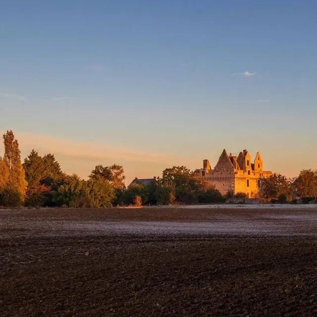 photo le château du grand-riou à tigné.  ©  michel clavereau