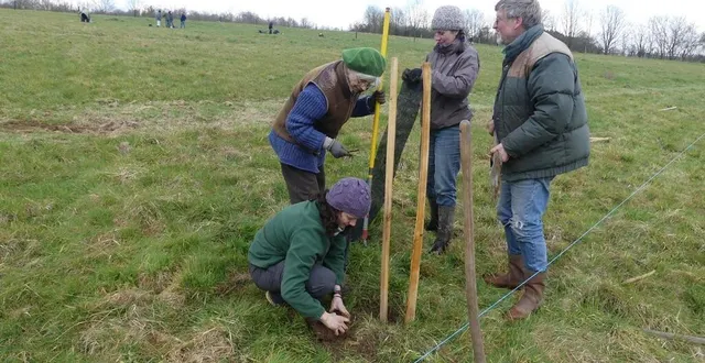 photo  les bénévoles ont fait des trous, planté les cormiers et mis en place des protections pour qu’ils poussent au mieux.  &copy;  ouest-france 