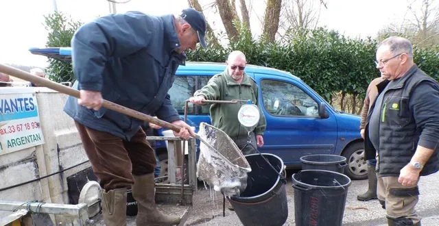 photo  de belles truites vont être déversées dans le carpentras aux environs de grimaux  &copy;  le maine libre 