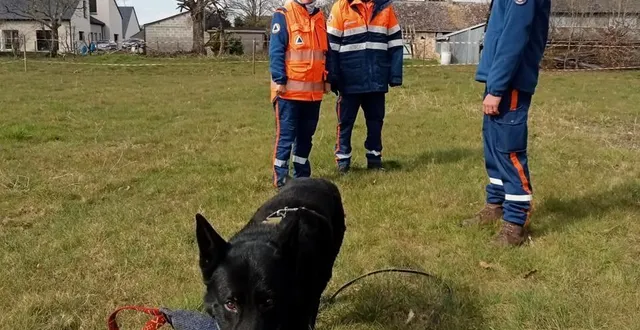 photo  le pistage est intense et fatigue beaucoup le chien.  &copy;  protection civile 