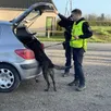 photo  les trois maîtres-chiens de la gendarmerie de l’orne et leurs animaux (ici celui d’argentan lors d’un contrôle à giel en avril 2024) seront réunis à argentan, fin 2025. 