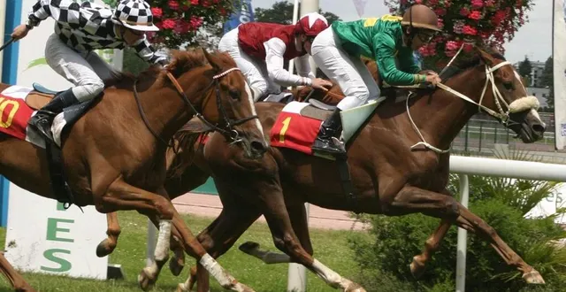 photo  le jockey alexandre roussel (casaque verte) avait remporté plus de 1 300 victoires dans sa carrière de jockey.  &copy;  archives ouest-france 