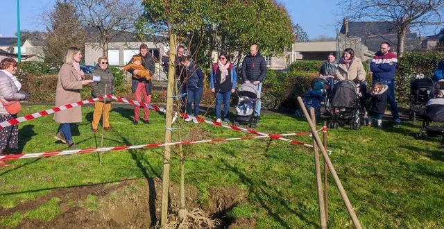 photo  douze naissances ont été enregistrées dans la commune en 2024.  &copy;  co 