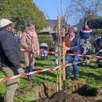 photo  élus, familles, bénévoles du ccas et du club nature se sont retrouvés sur l’espace vert près de l’école du petit anjou pour planter un arbre. 