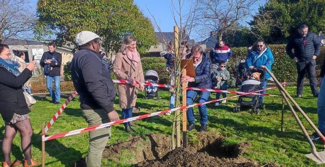 photo  élus, familles, bénévoles du ccas et du club nature se sont retrouvés sur l’espace vert près de l’école du petit anjou pour planter un arbre.  &copy;  ouest-france 
